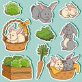 Color set of cute domestic animals and objects, vector rabbits Royalty Free Stock Photo