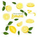 Color set of hand drawn tropical citrus fruit. Lemon. Ink sketch style. Good idea for templates menu, recipes, greeting