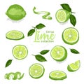 Color set of hand drawn tropical citrus fruit. Lime. Ink sketch style. Good idea for templates menu, recipes, greeting