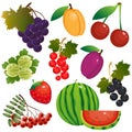 Color set of images of berries and fruits. Summer harvest. Vector illustration