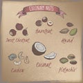 Color set of six most common nuts - hazelnut, sweet chestnut, coconut, almond, pistachio, cashew. Culinary nuts series.