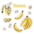 Color set with stickers of yellow bananas. Whole and sliced elemets isolated on white background. Hand drawn sketch Royalty Free Stock Photo
