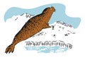 Color sketch of fur seal resting on ice. Hand drawn illustration Royalty Free Stock Photo