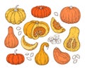 Color sketch set with pumpkins. Vector isolated illustration in retro style. Royalty Free Stock Photo