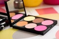 Color Splash: Vibrant Makeup Palette Array