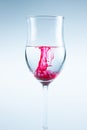 Color splash in wine glass. Red ink, isolated Royalty Free Stock Photo