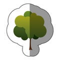 color stamp beautiful tree icon