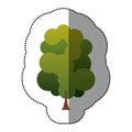 color stamp set of abstract tree icon