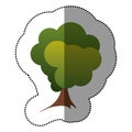 color stamp stylized tree icon