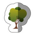 color stamp tree art icon