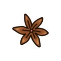 Color star anise icon. Hand drawn cartoon illustration of spice. Symbol of spicy flower in doodle style. Isolated vector sign on Royalty Free Stock Photo