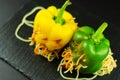 Color stuffed peppers with scary cutout faces, halloween party f