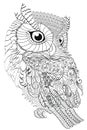 Color Therapy: An Anti-Stress Coloring Book . Owl.