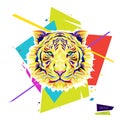 Color tiger head. Royalty Free Stock Photo