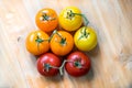 Color Tomatoes in circle shape