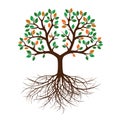 Color Tree with Leafs and Roots. Vector Illustration.