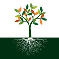 Color Tree of Life with Roots. Vector Illustration Royalty Free Stock Photo