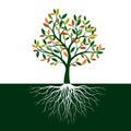 Color Tree of Life with Roots. Vector Illustration