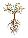 Color Tree and Roots. Vector Illustration. Royalty Free Stock Photo