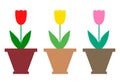 Color tulips icon set