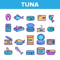 Color Tuna, Fish Products Vector Linear Icons Set