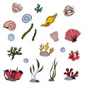 Color vector elements set, black and white drawing of a marine inhabitant, cute seaweed and corals