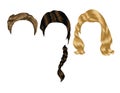 Color vector illustration of women`s hairstyles from hair of different lengths.