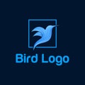 Color vector logo of a flying bird