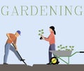 Color vector picture of gardening couple