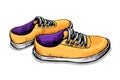 Color vector sketch of sneakers