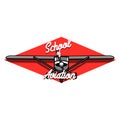 Color vintage Aviation emblem