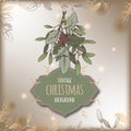 Color vintage Christmas template with mistletoe branch and frame. Royalty Free Stock Photo