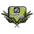 Color vintage nutritionist emblem