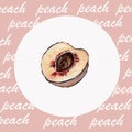 Color watercolor clip art made of peach. Royalty Free Stock Photo