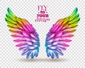 Color Wing Transparent Set Royalty Free Stock Photo