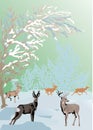 Color winter landscape with deers Royalty Free Stock Photo