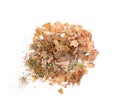 Color wood pencil with sharpening shavings isolated Royalty Free Stock Photo