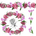 Color wreath and endless brush with pink rose and tulip flowers with leaves isolated on white background. Hand drawn ink sketch