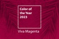 Color of the year 2023 background. Magenta new trend color on red purple background with shadow palm.