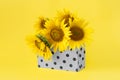 Color of the year 2021. Illuminating and Ultimate Gray. Yellow sunflowers in Gray shopping bag on yellow background, web Royalty Free Stock Photo