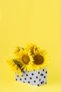 Color of the year 2021. Illuminating and Ultimate Gray. Yellow sunflowers in Gray shopping bag on yellow background, web Royalty Free Stock Photo