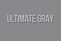 Color of the year 2021 ultimate gray. Concept of the main Pantone trend