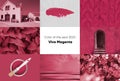 Color of the year 2023 Viva Magenta background.