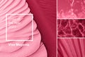 Color of year 2023 Viva Magenta. New Fashion color palette sample. Abstract natural sea, sand and palm leaf texture