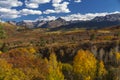 Colorado Aspen Fall Color in the Rocky Mountains, Kebler Pass Royalty Free Stock Photo