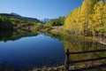 Colorado Aspen Trees with lake and mountains Royalty Free Stock Photo