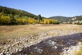 Colorado Aspens and Stream