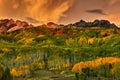 A Colorado Autumn Along Kebler Royalty Free Stock Photo