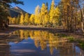 Colorado Autumn Landscape Reflection Royalty Free Stock Photo