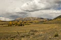 Colorado Autumn pasture and mountains